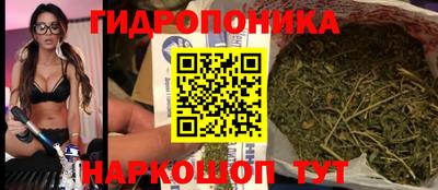 прущие грибы Конаково