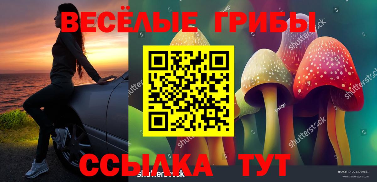 Галлюциногенные грибы Cubensis Когалым